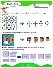 Zeka Gelişim Testleri